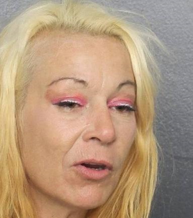 Brandy Deeann Gaston  Info, Photos, Data, and More / Brandy Deeann Gaston  TriCountyBusts / Is Brandy Deeann Gaston  on Social Media Like Facebook, Instagram abd Twitter?