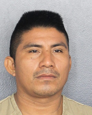 MARTIN HILLERA  Records MARTIN HILLERA  / MARTIN HILLERA  Photos MARTIN HILLERA 