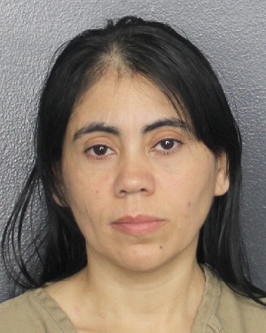 NATALY GONZALEZ PULGARIN  Records NATALY GONZALEZ PULGARIN  / NATALY GONZALEZ PULGARIN  Photos NATALY GONZALEZ PULGARIN 