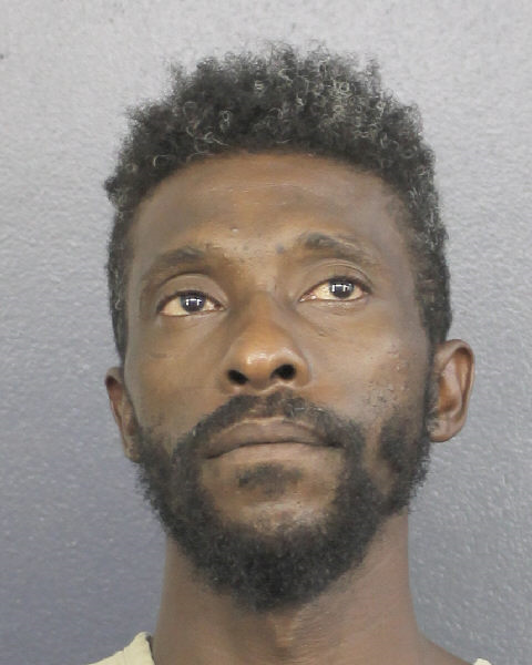 David Rollins Records David Rollins / David Rollins Photos David Rollins