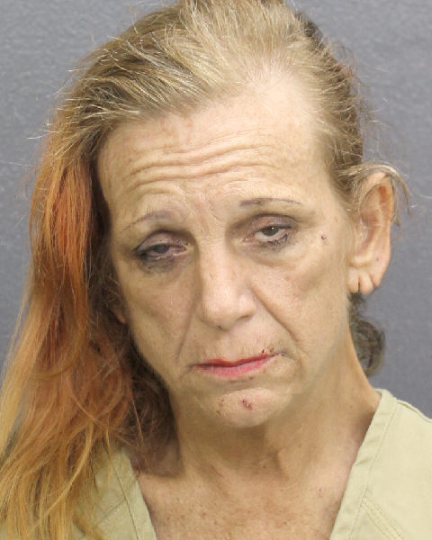 Denise Flowers Lensky Info, Photos, Data, and More / Denise Flowers Lensky TriCountyBusts / Is Denise Flowers Lensky on Social Media Like Facebook, Instagram abd Twitter?
