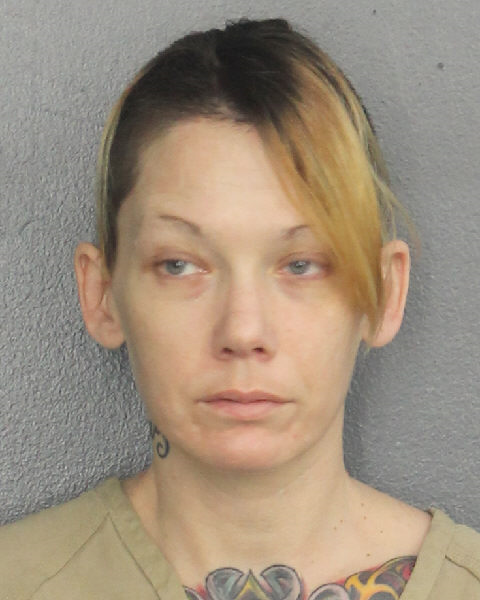 Erin Millheiser Info, Photos, Data, and More / Erin Millheiser TriCountyBusts / Is Erin Millheiser on Social Media Like Facebook, Instagram abd Twitter?