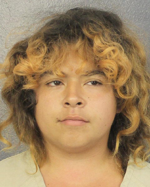 Krystinne Gonzalez Info, Photos, Data, and More / Krystinne Gonzalez TriCountyBusts / Is Krystinne Gonzalez on Social Media Like Facebook, Instagram abd Twitter?