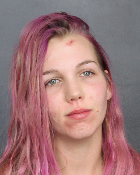 Stephanie Vanderhee Info, Photos, Data, and More / Stephanie Vanderhee TriCountyBusts / Is Stephanie Vanderhee on Social Media Like Facebook, Instagram abd Twitter?