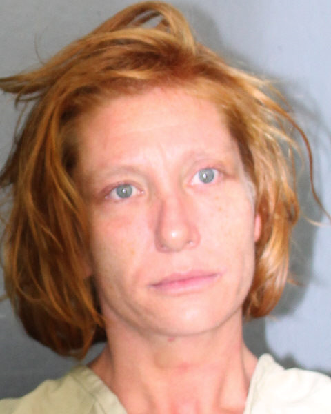 Alysha Castaneda Info, Photos, Data, and More / Alysha Castaneda TriCountyBusts / Is Alysha Castaneda on Social Media Like Facebook, Instagram abd Twitter?