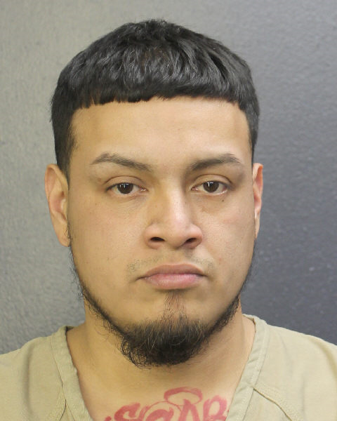 Starlyn Castro Info, Photos, Data, and More / Starlyn Castro TriCountyBusts / Is Starlyn Castro on Social Media Like Facebook, Instagram abd Twitter?