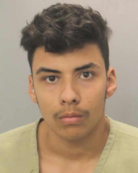 Luz Ferraz Records Luz Ferraz / Luz Ferraz Photos Luz Ferraz