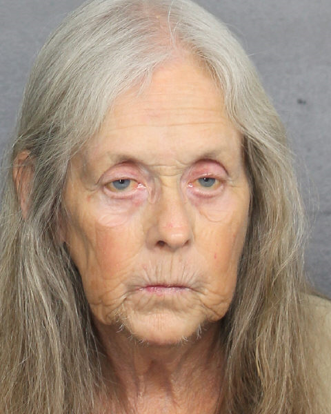 Diane Honahan Martini Info, Photos, Data, and More / Diane Honahan Martini TriCountyBusts / Is Diane Honahan Martini on Social Media Like Facebook, Instagram abd Twitter?