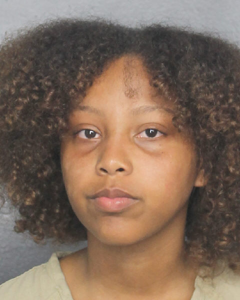 Emily Minaya Info, Photos, Data, and More / Emily Minaya TriCountyBusts / Is Emily Minaya on Social Media Like Facebook, Instagram abd Twitter?