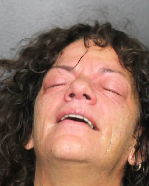 Dawn Stevens Info, Photos, Data, and More / Dawn Stevens TriCountyBusts / Is Dawn Stevens on Social Media Like Facebook, Instagram abd Twitter?