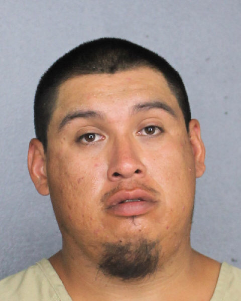 Jack Turtle Records Jack Turtle / Jack Turtle Photos Jack Turtle