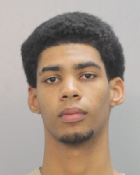 Kianu Bajzath Records Kianu Bajzath / Kianu Bajzath Photos Kianu Bajzath