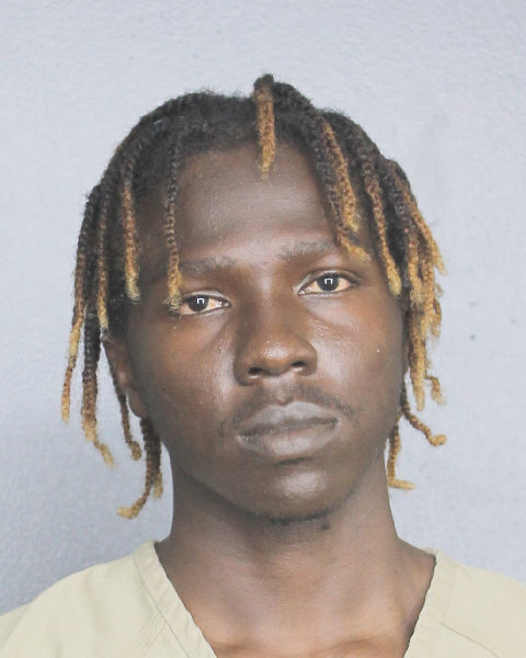 Chrisne Olibrice Info, Photos, Data, and More / Chrisne Olibrice TriCountyBusts / Is Chrisne Olibrice on Social Media Like Facebook, Instagram abd Twitter?