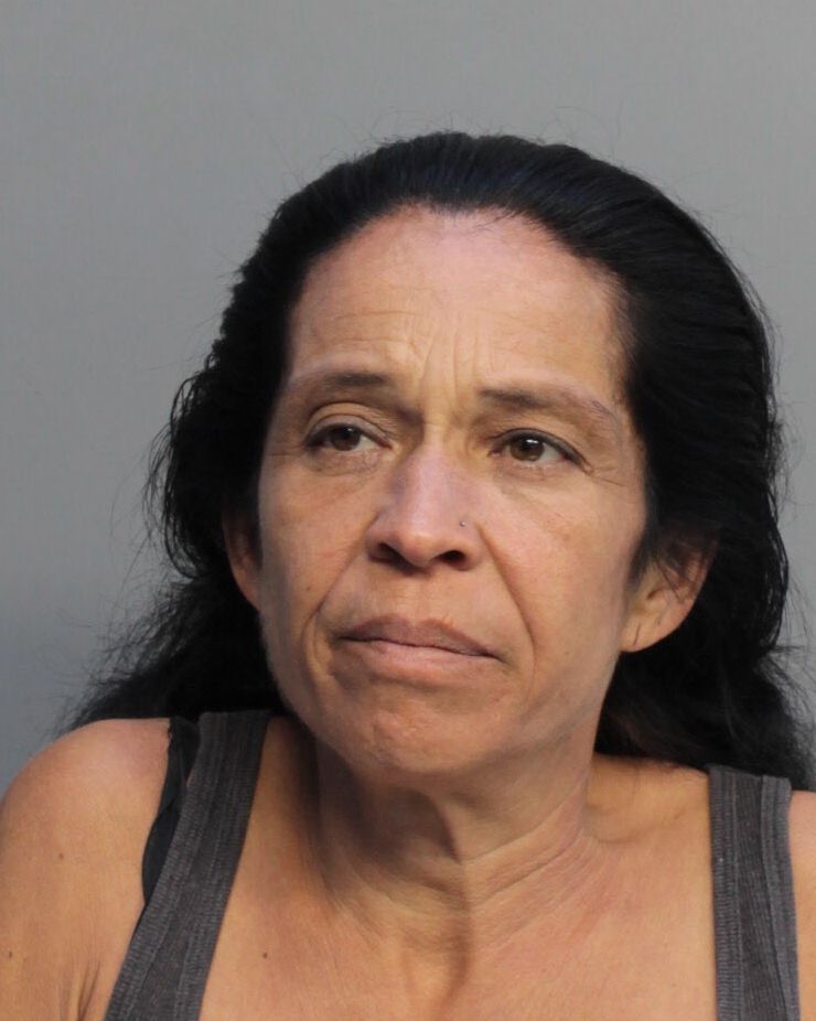 Elena Toyos Info, Photos, Data, and More / Elena Toyos TriCountyBusts / Is Elena Toyos on Social Media Like Facebook, Instagram abd Twitter?