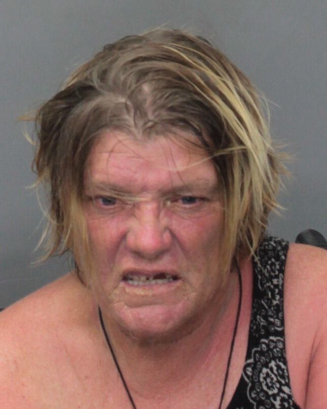 Carolyn Lott Info, Photos, Data, and More / Carolyn Lott TriCountyBusts / Is Carolyn Lott on Social Media Like Facebook, Instagram abd Twitter?