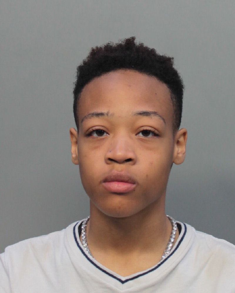 Arion Hamilton Info, Photos, Data, and More / Arion Hamilton TriCountyBusts / Is Arion Hamilton on Social Media Like Facebook, Instagram abd Twitter?