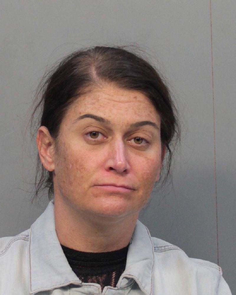 Dina Friedman Info, Photos, Data, and More / Dina Friedman TriCountyBusts / Is Dina Friedman on Social Media Like Facebook, Instagram abd Twitter?