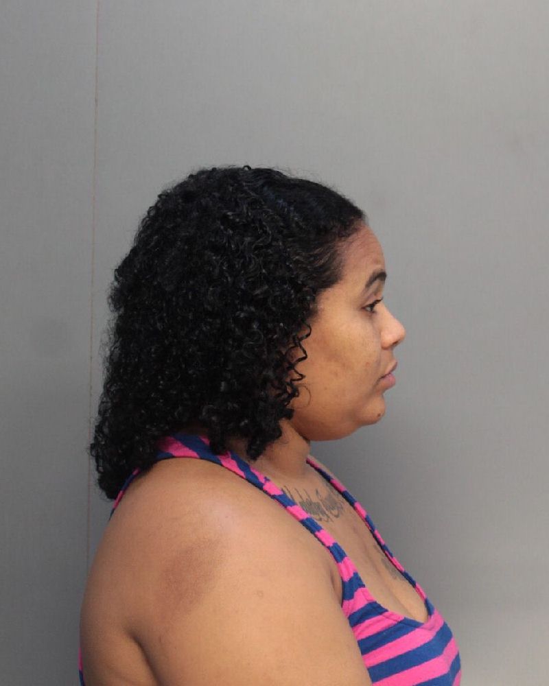 Suneliz Santana Info, Photos, Data, and More / Suneliz Santana TriCountyBusts / Is Suneliz Santana on Social Media Like Facebook, Instagram abd Twitter?