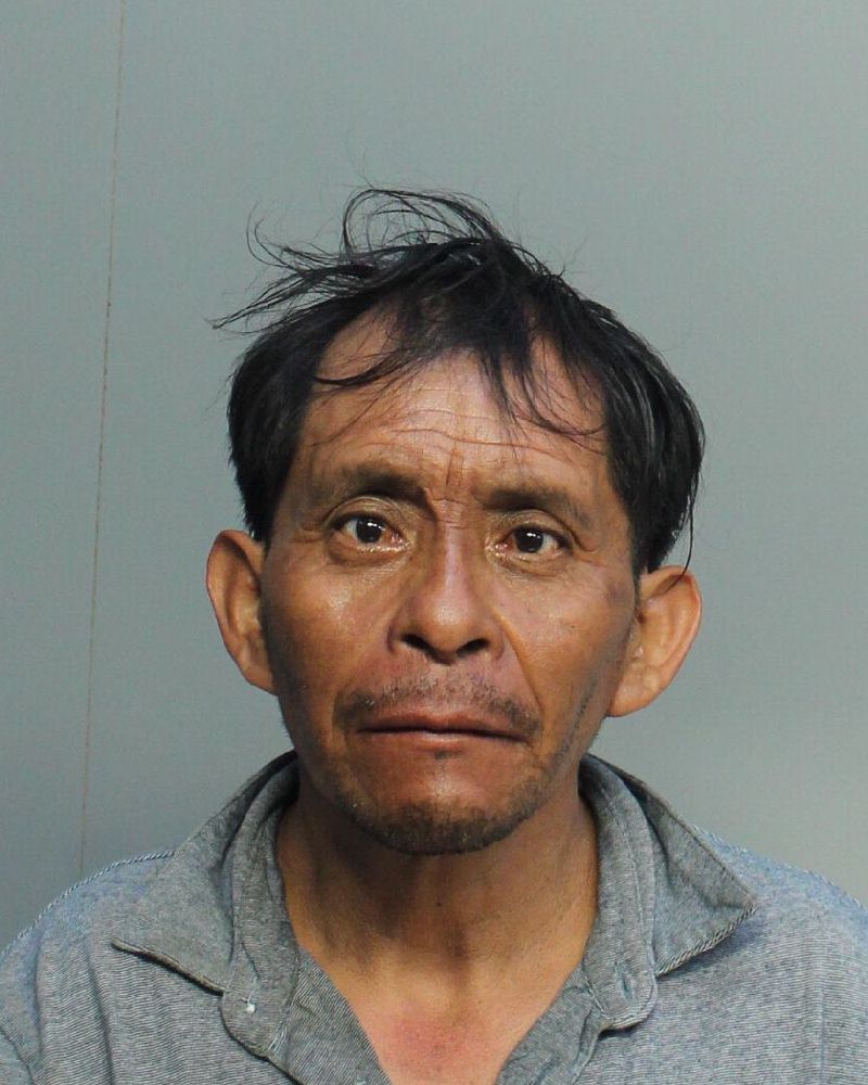 Miguel Gregoriomateo Records Miguel Gregoriomateo / Miguel Gregoriomateo Photos Miguel Gregoriomateo