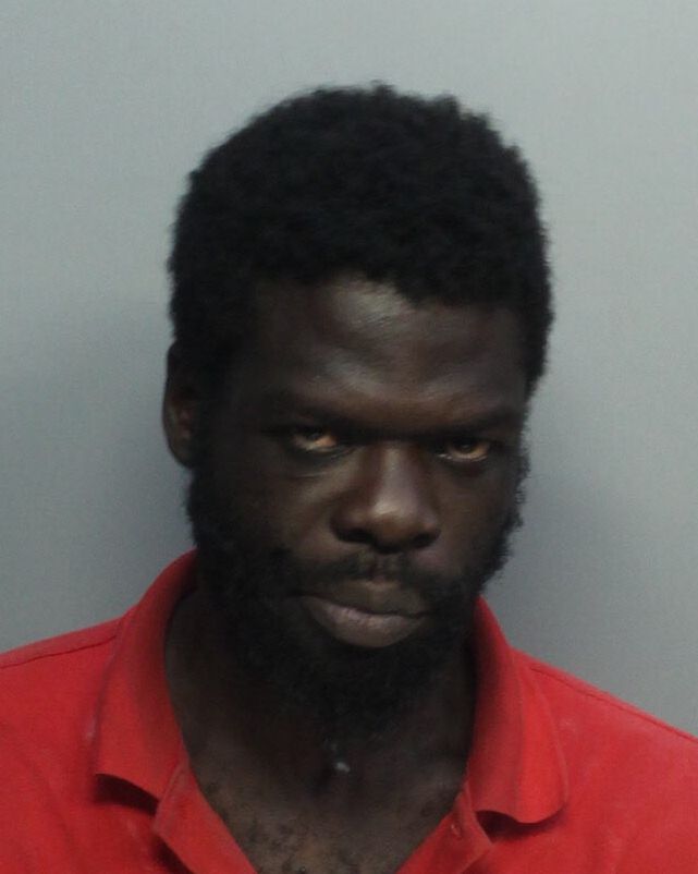 Wilfrid Silencieuse Records Wilfrid Silencieuse / Wilfrid Silencieuse Photos Wilfrid Silencieuse