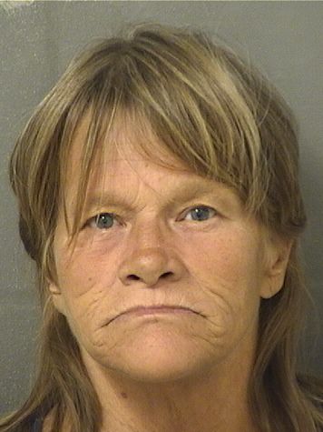 Susan Lynn Johnson Info, Photos, Data, and More / Susan Lynn Johnson TriCountyBusts / Is Susan Lynn Johnson on Social Media Like Facebook, Instagram abd Twitter?