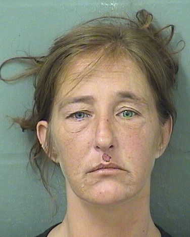 Julie F White Info, Photos, Data, and More / Julie F White TriCountyBusts / Is Julie F White on Social Media Like Facebook, Instagram abd Twitter?