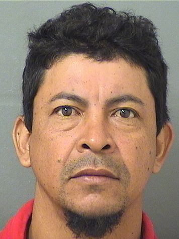 Misael Burgoszamora Info, Photos, Data, and More / Misael Burgoszamora TriCountyBusts / Is Misael Burgoszamora on Social Media Like Facebook, Instagram abd Twitter?