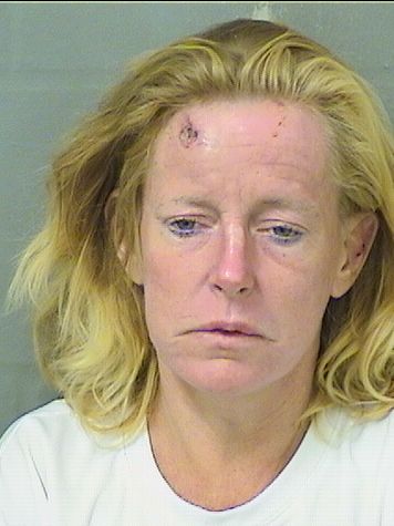 Amy Elizabeth Hand Info, Photos, Data, and More / Amy Elizabeth Hand TriCountyBusts / Is Amy Elizabeth Hand on Social Media Like Facebook, Instagram abd Twitter?