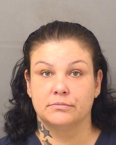 Danielle Marie Verdi Info, Photos, Data, and More / Danielle Marie Verdi TriCountyBusts / Is Danielle Marie Verdi on Social Media Like Facebook, Instagram abd Twitter?