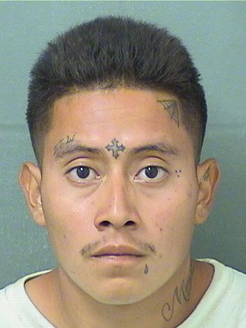 Saria Miguel Agustin Records Saria Miguel Agustin / Saria Miguel Agustin Photos Saria Miguel Agustin