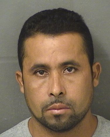 Dilson Mejialicona Info, Photos, Data, and More / Dilson Mejialicona TriCountyBusts / Is Dilson Mejialicona on Social Media Like Facebook, Instagram abd Twitter?