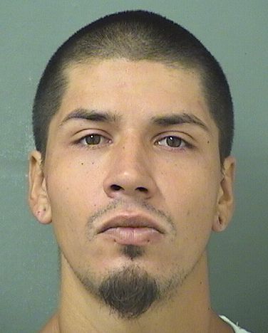 Marco Junior Proano Records Marco Junior Proano / Marco Junior Proano Photos Marco Junior Proano