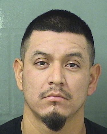 Joni Zununvelasquez Records Joni Zununvelasquez / Joni Zununvelasquez Photos Joni Zununvelasquez