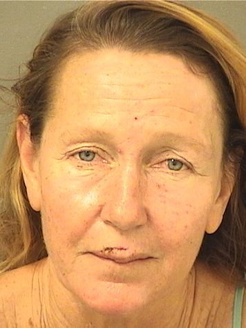 Shelley Anne Sloan Info, Photos, Data, and More / Shelley Anne Sloan TriCountyBusts / Is Shelley Anne Sloan on Social Media Like Facebook, Instagram abd Twitter?