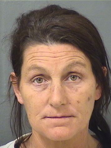 Elaina Caroline Bergvoorhees Info, Photos, Data, and More / Elaina Caroline Bergvoorhees TriCountyBusts / Is Elaina Caroline Bergvoorhees on Social Media Like Facebook, Instagram abd Twitter?