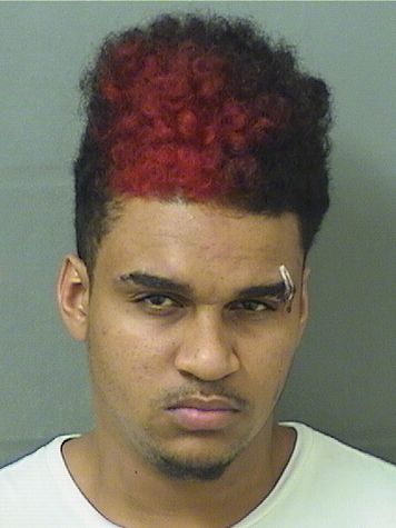 Blaise Anthony Jr Silencieux Info, Photos, Data, and More / Blaise Anthony Jr Silencieux TriCountyBusts / Is Blaise Anthony Jr Silencieux on Social Media Like Facebook, Instagram abd Twitter?
