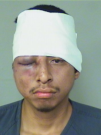 Dario G Mejia Records Dario G Mejia / Dario G Mejia Photos Dario G Mejia