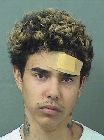 Tristen Jordan Pena Info, Photos, Data, and More / Tristen Jordan Pena TriCountyBusts / Is Tristen Jordan Pena on Social Media Like Facebook, Instagram abd Twitter?