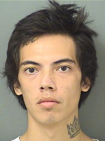 Joseph Alexander Lanoy Info, Photos, Data, and More / Joseph Alexander Lanoy TriCountyBusts / Is Joseph Alexander Lanoy on Social Media Like Facebook, Instagram abd Twitter?