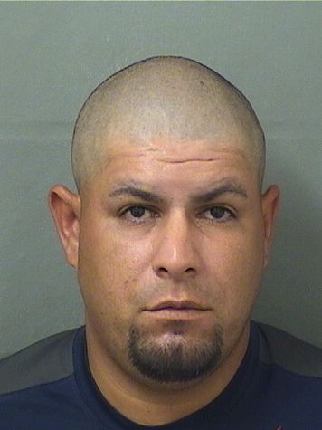 David Garciamadera Records David Garciamadera / David Garciamadera Photos David Garciamadera