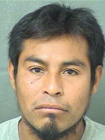 Miguel Castroosorio Records Miguel Castroosorio / Miguel Castroosorio Photos Miguel Castroosorio