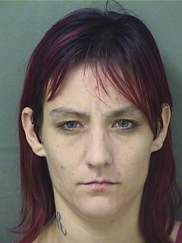Rachel Elizabeth Ronney Info, Photos, Data, and More / Rachel Elizabeth Ronney TriCountyBusts / Is Rachel Elizabeth Ronney on Social Media Like Facebook, Instagram abd Twitter?