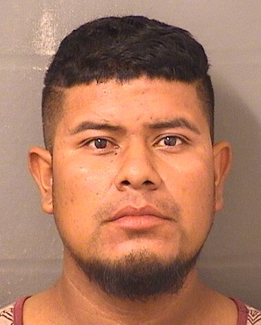 Ledin Elioenai Salasescalante Records Ledin Elioenai Salasescalante / Ledin Elioenai Salasescalante Photos Ledin Elioenai Salasescalante