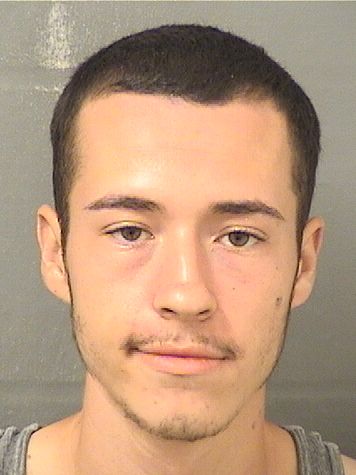 Tyler Alfredo Delatorre Info, Photos, Data, and More / Tyler Alfredo Delatorre TriCountyBusts / Is Tyler Alfredo Delatorre on Social Media Like Facebook, Instagram abd Twitter?