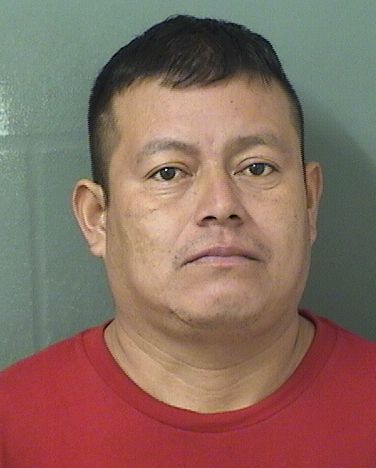 Jaime Manuel Hernandezperez Info, Photos, Data, and More / Jaime Manuel Hernandezperez TriCountyBusts / Is Jaime Manuel Hernandezperez on Social Media Like Facebook, Instagram abd Twitter?