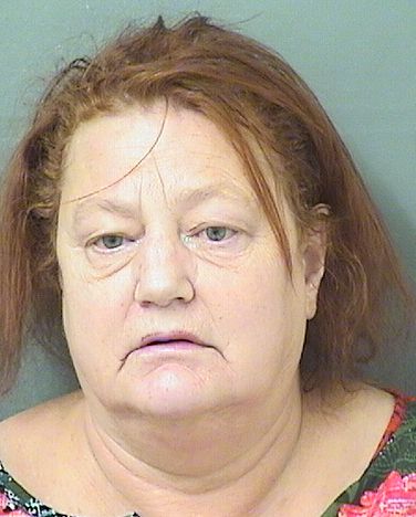 Sally Gayle Schmidt Info, Photos, Data, and More / Sally Gayle Schmidt TriCountyBusts / Is Sally Gayle Schmidt on Social Media Like Facebook, Instagram abd Twitter?