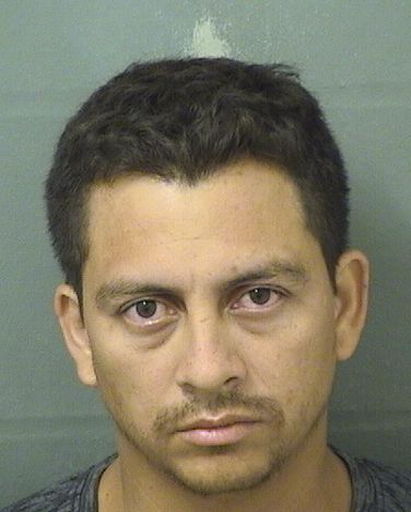 William I Ortegatorrez Info, Photos, Data, and More / William I Ortegatorrez TriCountyBusts / Is William I Ortegatorrez on Social Media Like Facebook, Instagram abd Twitter?