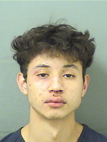 Ian Ricardo Salas Info, Photos, Data, and More / Ian Ricardo Salas TriCountyBusts / Is Ian Ricardo Salas on Social Media Like Facebook, Instagram abd Twitter?