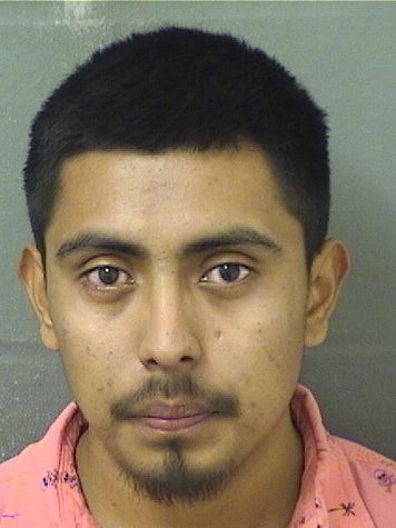 Jeovany Audeli Salesperez Info, Photos, Data, and More / Jeovany Audeli Salesperez TriCountyBusts / Is Jeovany Audeli Salesperez on Social Media Like Facebook, Instagram abd Twitter?