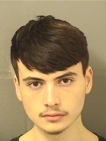 Maximilian Hermanspector Schmidt Info, Photos, Data, and More / Maximilian Hermanspector Schmidt TriCountyBusts / Is Maximilian Hermanspector Schmidt on Social Media Like Facebook, Instagram abd Twitter?